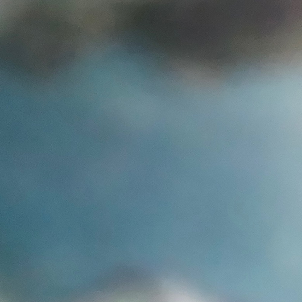 Meet your Posher, Joy